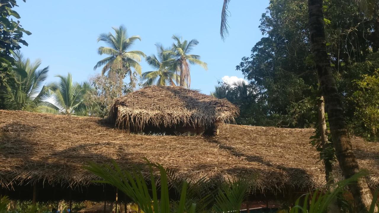 Kings Villa Resort Palolem Exterior foto